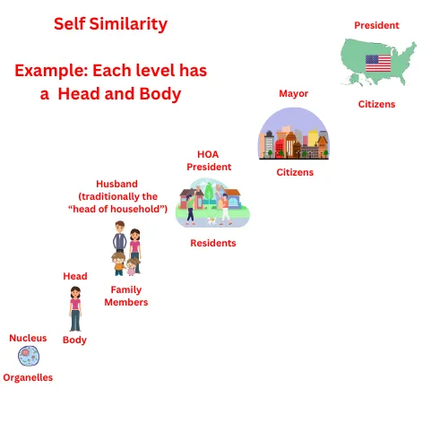 Cell to country fractal hierarchy highlighting the head and body pattern at each level