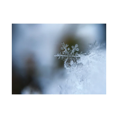 Snowflake crystal showing fractal pattern with repeating six-fold symmetry