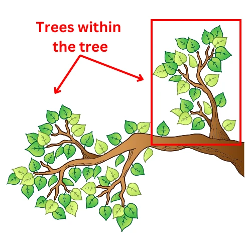 Tree branches highlighted to show self-similar fractal pattern at different scales