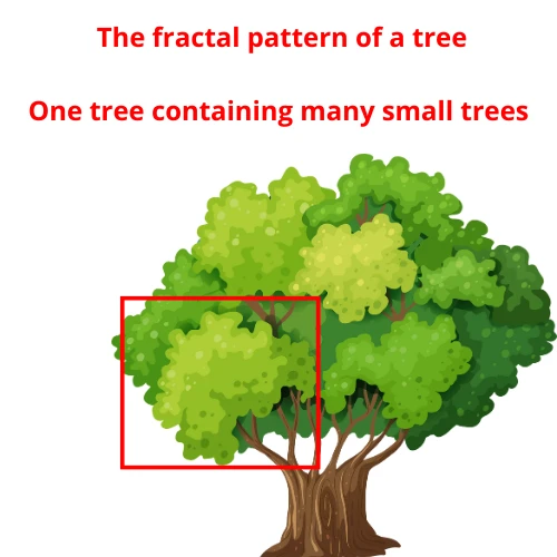 Zoomed view of tree branches showing self-similar fractal pattern